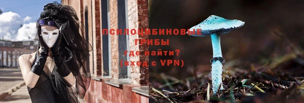 первитин Лабытнанги