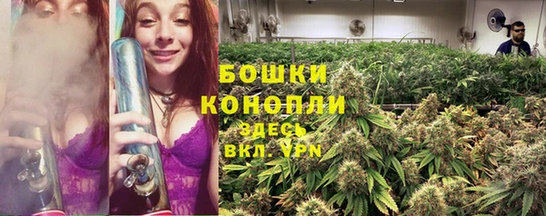 первитин Лабытнанги